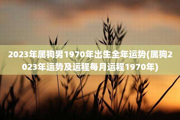 2023年属狗男1970年出生全年运势(属狗2023年运势及运程每月运程1970年)