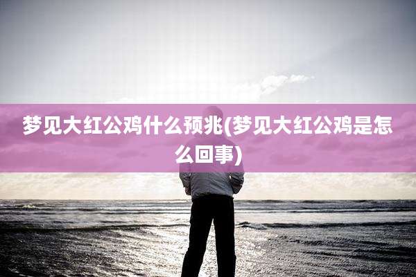 梦见大红公鸡什么预兆(梦见大红公鸡是怎么回事)