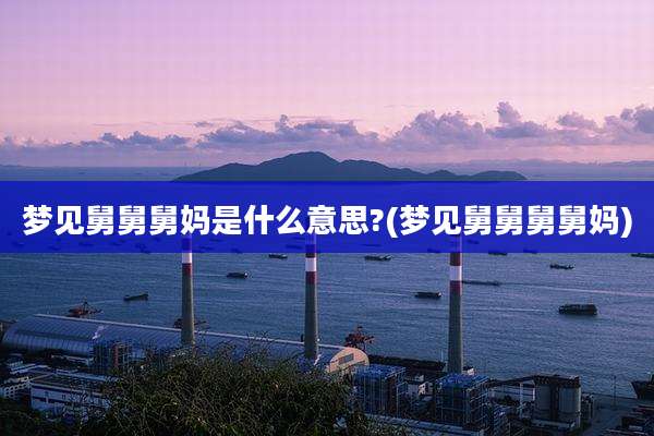 梦见舅舅舅妈是什么意思?(梦见舅舅舅舅妈)