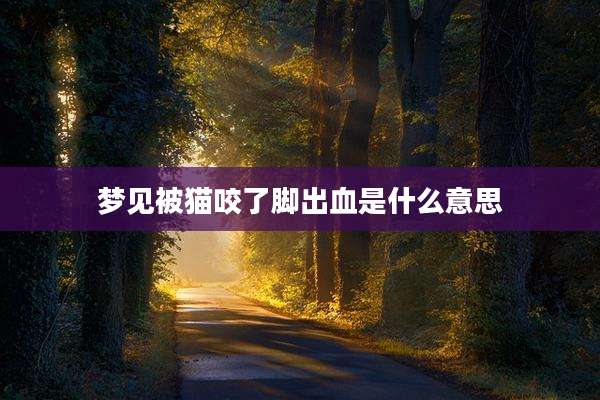 梦见被猫咬了脚出血是什么意思