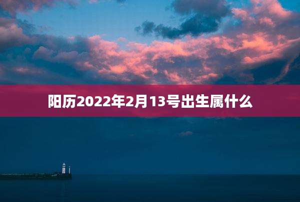 阳历2022年2月13号出生属什么
