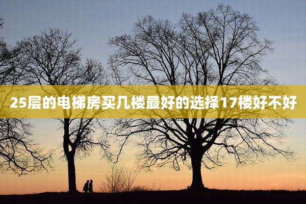 25层的电梯房买几楼最好的选择17楼好不好