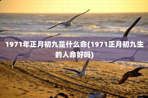 1971年正月初九是什么命(1971正月初九生的人命好吗)