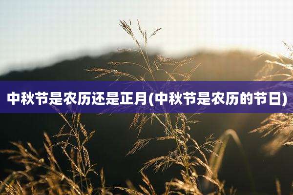 中秋节是农历还是正月(中秋节是农历的节日)