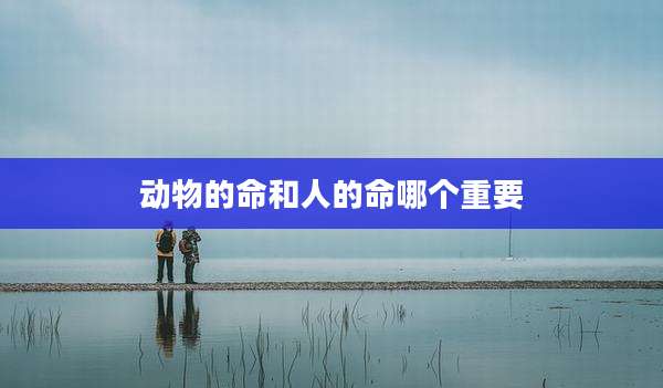 动物的命和人的命哪个重要