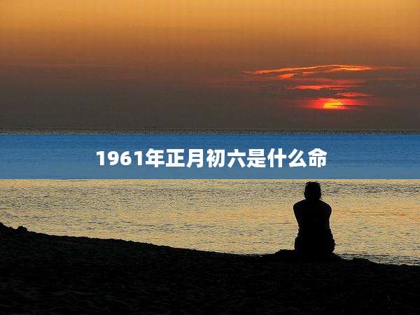 1961年正月初六是什么命