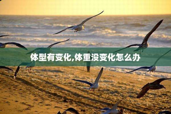 体型有变化,体重没变化怎么办