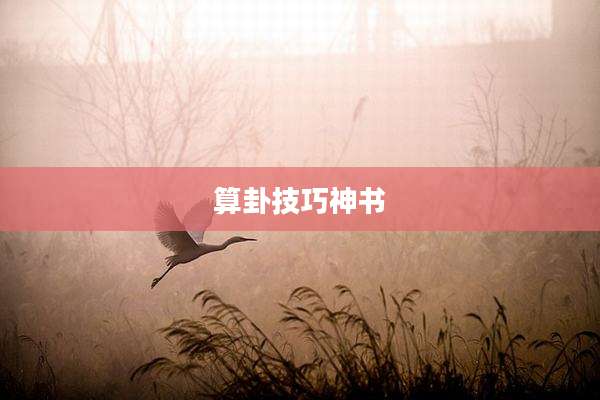 算卦技巧神书