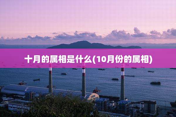 十月的属相是什么(10月份的属相)