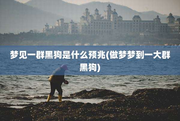 梦见一群黑狗是什么预兆(做梦梦到一大群黑狗)