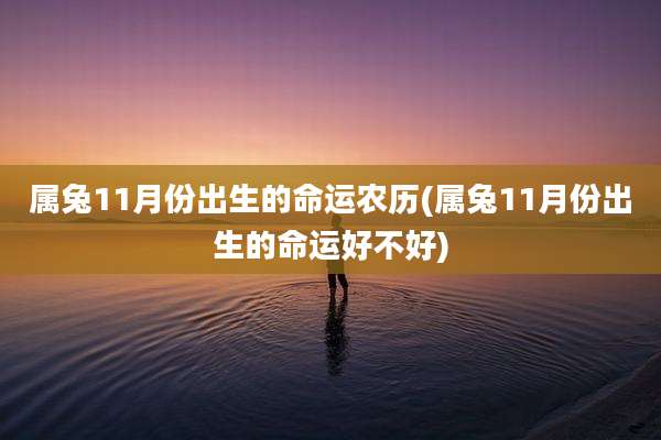 属兔11月份出生的命运农历(属兔11月份出生的命运好不好)