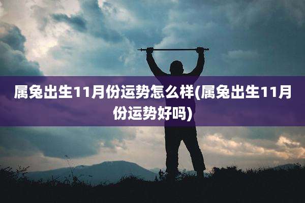 属兔出生11月份运势怎么样(属兔出生11月份运势好吗)