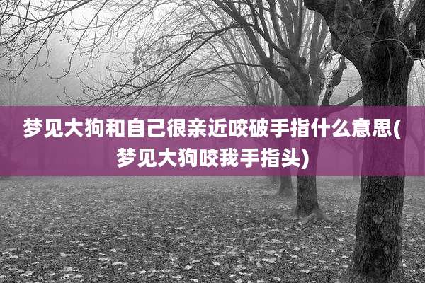 梦见大狗和自己很亲近咬破手指什么意思(梦见大狗咬我手指头)