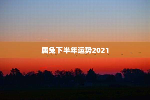 属兔下半年运势2021