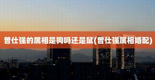 曾仕强的属相是狗吗还是鼠(曾仕强属相婚配)