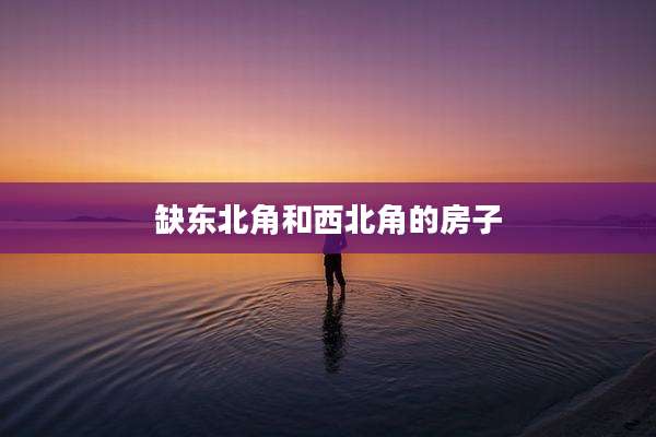 缺东北角和西北角的房子