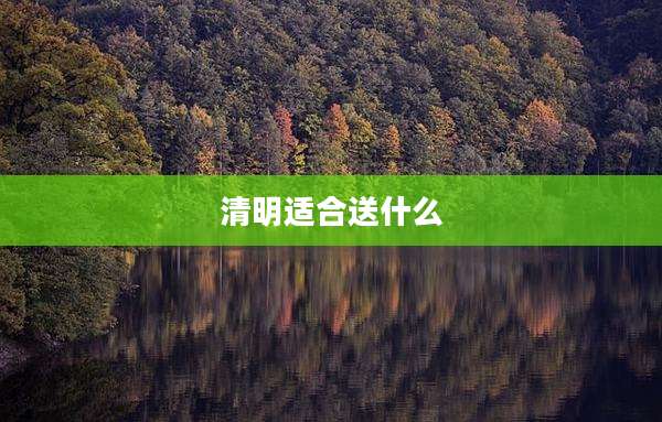清明适合送什么