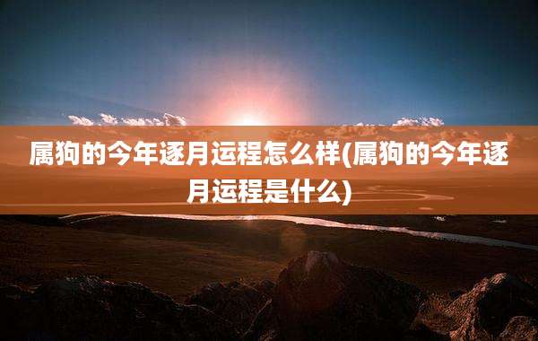 属狗的今年逐月运程怎么样(属狗的今年逐月运程是什么)