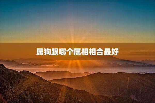 属狗跟哪个属相相合最好