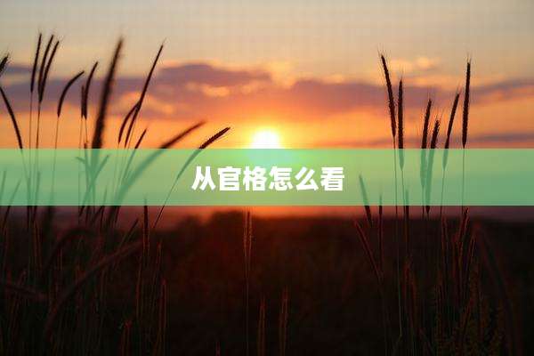 从官格怎么看