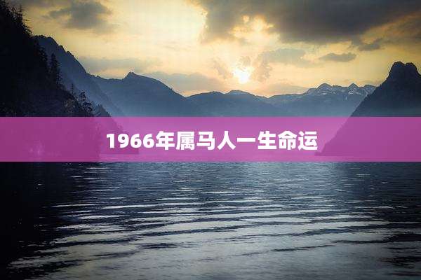 1966年属马人一生命运