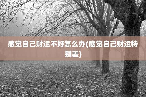 感觉自己财运不好怎么办(感觉自己财运特别差)