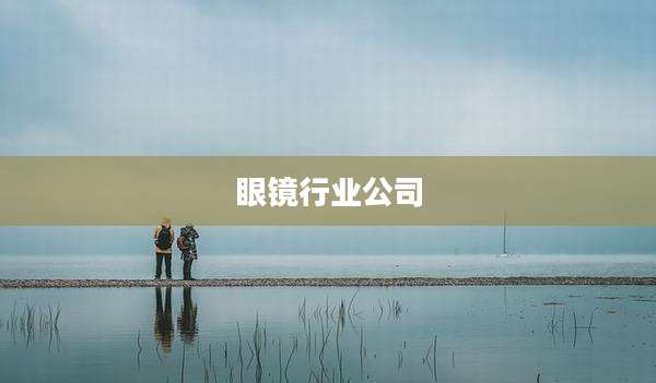 眼镜行业公司
