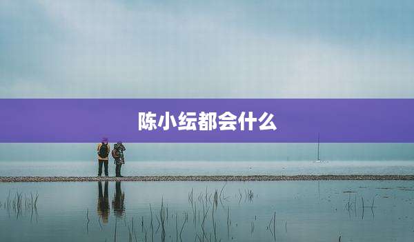 陈小纭都会什么