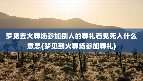 梦见去火葬场参加别人的葬礼看见死人什么意思(梦见到火葬场参加葬礼)