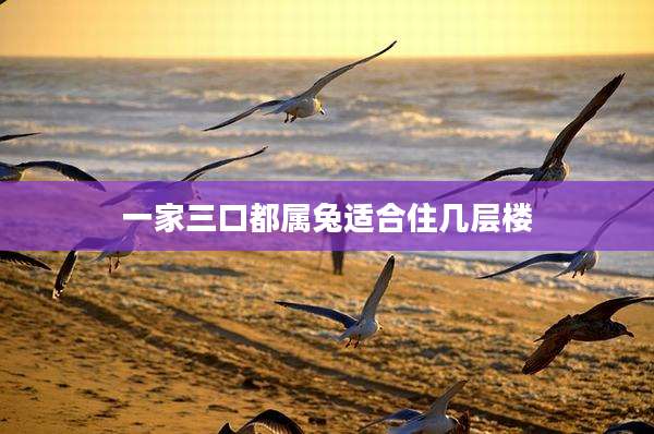 一家三口都属兔适合住几层楼