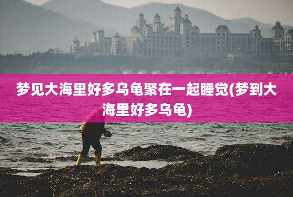 梦见大海里好多乌龟聚在一起睡觉(梦到大海里好多乌龟)