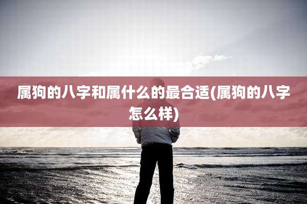 属狗的八字和属什么的最合适(属狗的八字怎么样)
