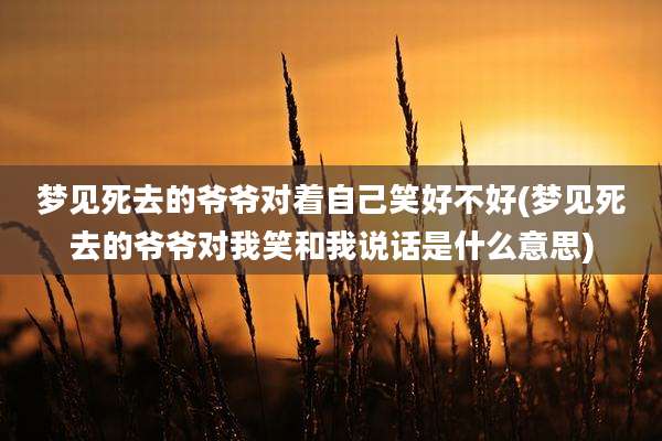 梦见死去的爷爷对着自己笑好不好(梦见死去的爷爷对我笑和我说话是什么意思)