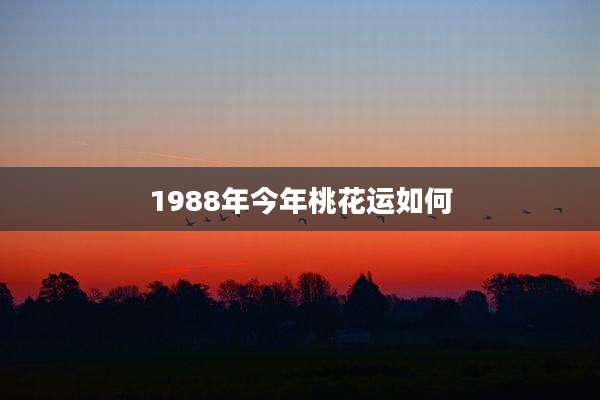 1988年今年桃花运如何