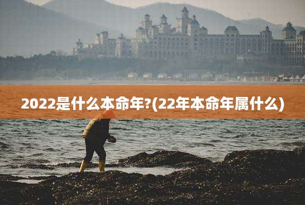 2022是什么本命年?(22年本命年属什么)