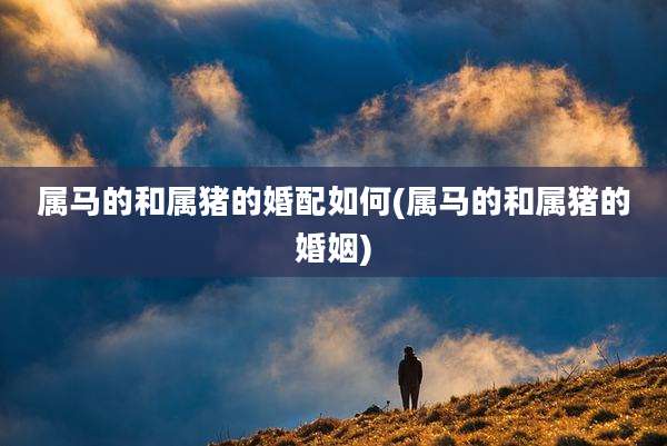 属马的和属猪的婚配如何(属马的和属猪的婚姻)