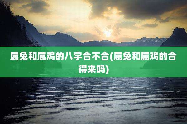 属兔和属鸡的八字合不合(属兔和属鸡的合得来吗)