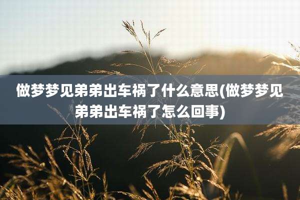 做梦梦见弟弟出车祸了什么意思(做梦梦见弟弟出车祸了怎么回事)