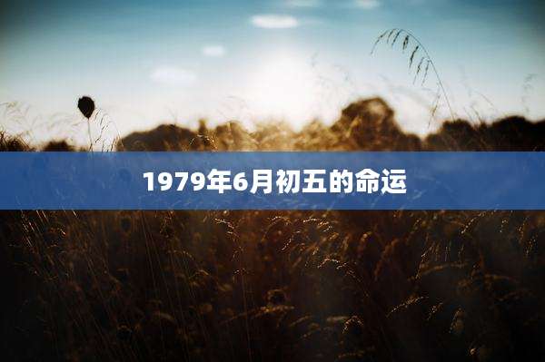 1979年6月初五的命运