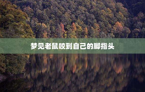 梦见老鼠咬到自己的脚指头