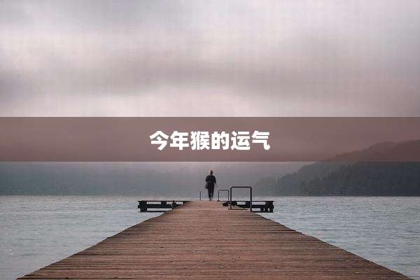 今年猴的运气