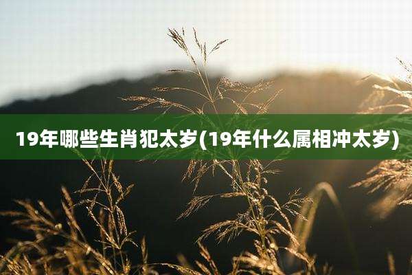 19年哪些生肖犯太岁(19年什么属相冲太岁)