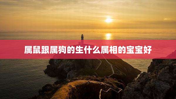属鼠跟属狗的生什么属相的宝宝好