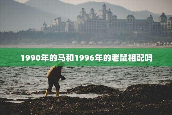 1990年的马和1996年的老鼠相配吗