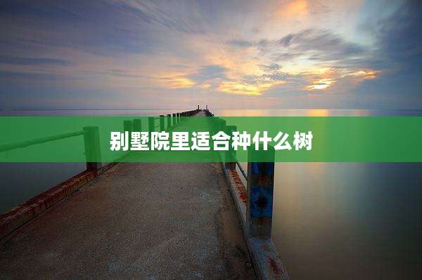 别墅院里适合种什么树