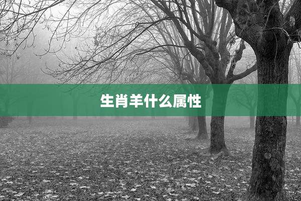 生肖羊什么属性