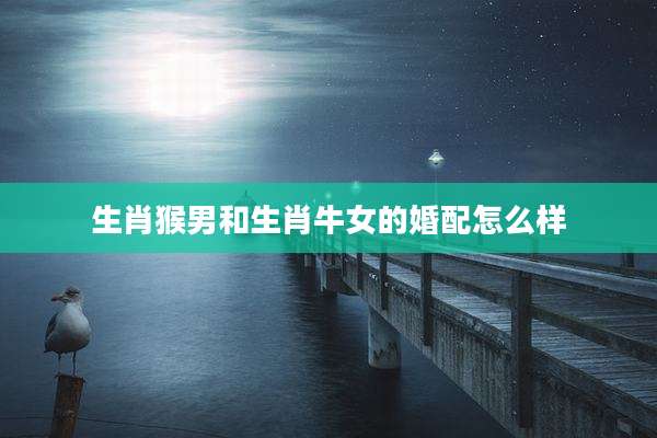 生肖猴男和生肖牛女的婚配怎么样