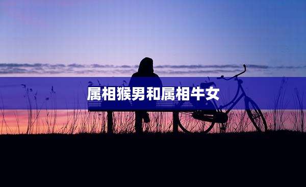 属相猴男和属相牛女