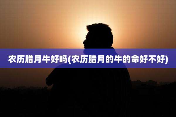 农历腊月牛好吗(农历腊月的牛的命好不好)