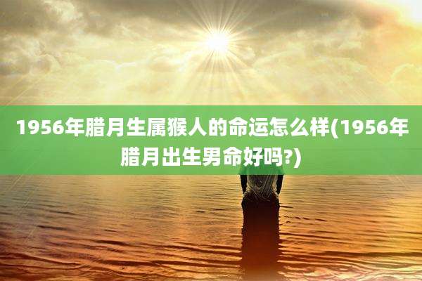 1956年腊月生属猴人的命运怎么样(1956年腊月出生男命好吗?)